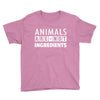 Animals Are Not Ingredients Youth Tee