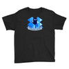 schrodingers dropbox Youth Tee