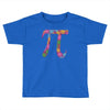 spring pi tshirts  flowery colorful pi day gifts Toddler T-shirt