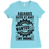 Aquarius Hated By Many Wanted By Plenty Ladies Fitted T-Shirt