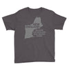 new england, because old england was wicked stupid Youth Tee