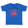 sagittarius zodiac Toddler T-shirt
