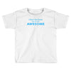 i don't get drunk Toddler T-shirt
