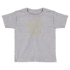 rock flag eagle national park Toddler T-shirt