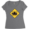 bear shark Women's Triblend Scoop T-shirt