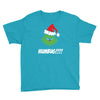 humbug grinch christmas Youth Tee