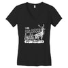 I Like Big Bucks And I Cannot Lie Women's V-Neck T-Shirt