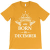 the best teachers are born in december T-Shirt