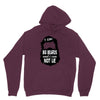 i like big beards and i cannot lie Hoodie