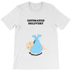 Estimated Delivery September Baby Boy T-Shirt