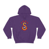 test Unisex Heavy Blend™ Hooded Sweatshirt