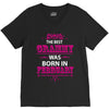 The Best Grammy Was Born In February V-Neck Tee