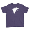 winter is coming Youth Tee
