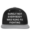 surely not everybody was kung fu fighting Snapback