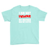 i'm not insane my mother Youth Tee
