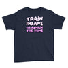 train insane or remain the same Youth Tee