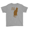 im an animal in bed Youth Tee