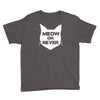 meow or never Youth Tee