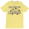 live every day like it's caturday T-Shirt