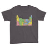 canadian periodic table Youth Tee