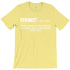 Feminist Noun T-Shirt