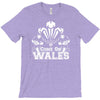 come on wales funny nations rugby T-Shirt