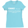 Feminist Noun Ladies Fitted T-Shirt