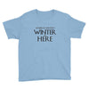 Winter (f80) Youth Tee