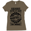 Aquarius Hated By Many Wanted By Plenty Ladies Fitted T-Shirt