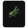 praying mantis Mousepad
