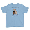 dam Youth Tee