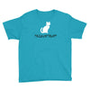 trick or treat Youth Tee