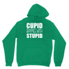cupid rhymes with stupid Hoodie