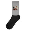poker game Socks