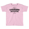 brett kavanaugh supreme court justice Toddler T-shirt