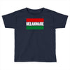 melaninaire Toddler T-shirt