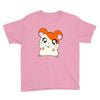 hamtaro Youth Tee