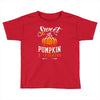 sweet as pumpkin pi Toddler T-shirt