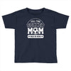 paid in hugs Toddler T-shirt