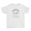 house stark winterfell Youth Tee