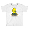 this is unacceptable Toddler T-shirt