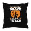 teacher Throw Pillow