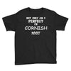 perfect cornish Youth Tee