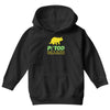 petod Youth Hoodie