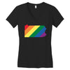 Pennsylvania LGBT Rights Women's V-Neck T-Shirt