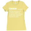 Feminism Noun Ladies Fitted T-Shirt