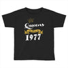 queens are born in 1977 Toddler T-shirt