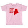 funny maine state Toddler T-shirt