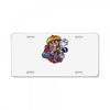 pintados License Plate