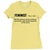 Feminist Noun Ladies Fitted T-Shirt